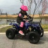 Little bull 49CC ATV mini 2-тактный маленький четырехколесный квадроцикл